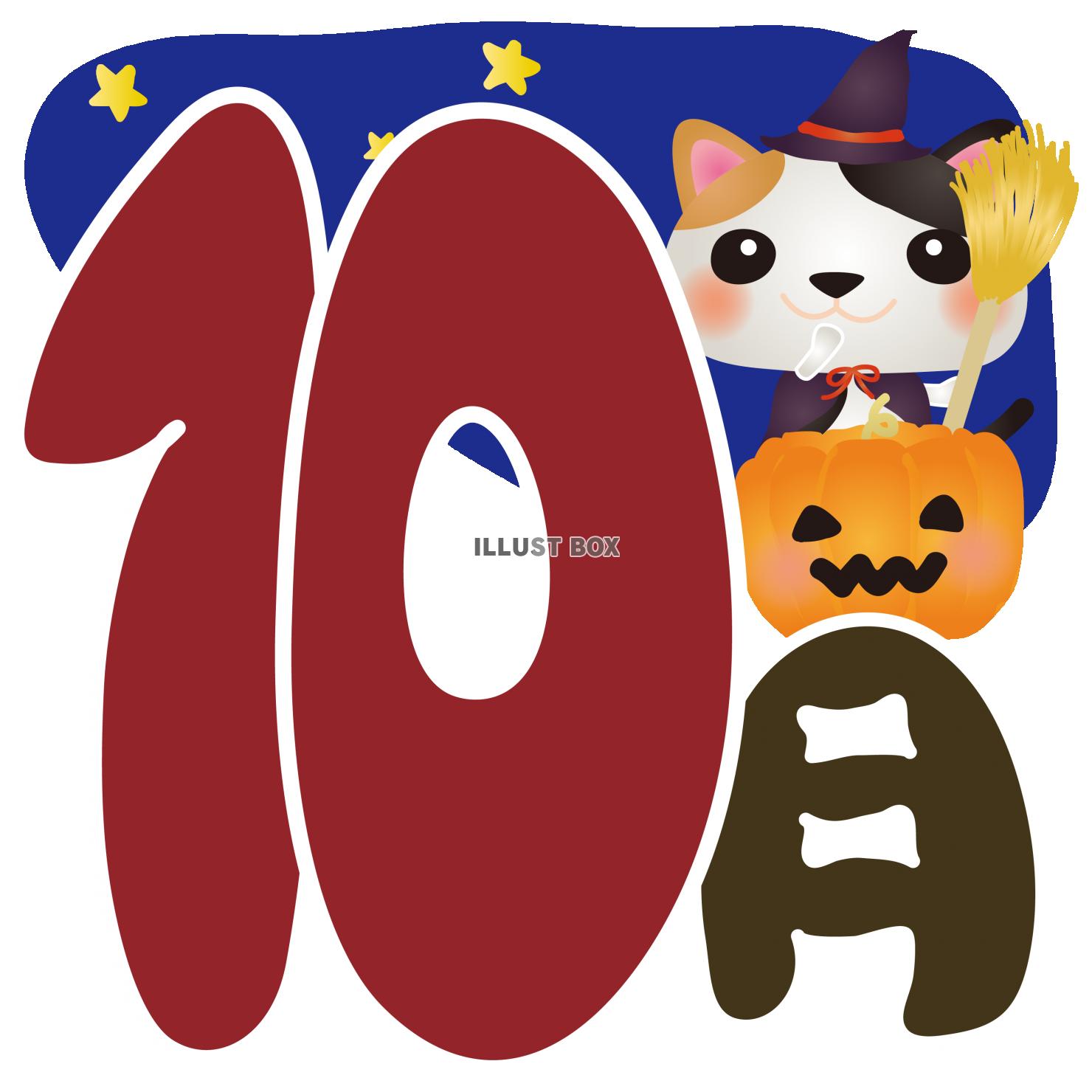 三毛猫10月ハロウィーン