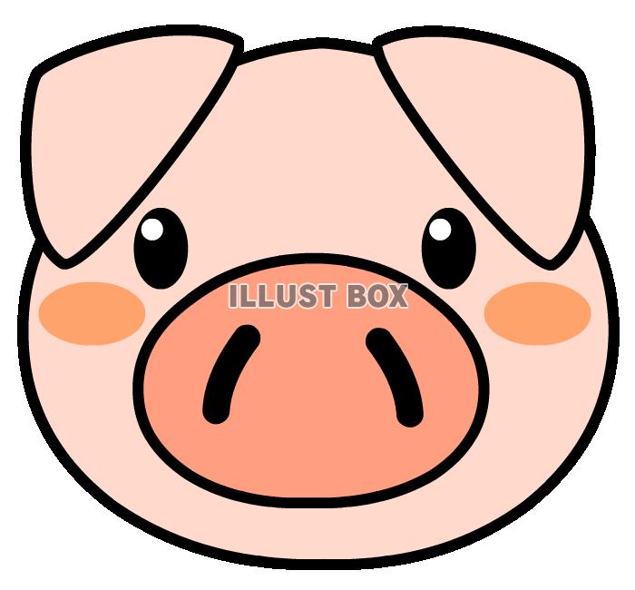 無料イラスト 豚の顔 透過png