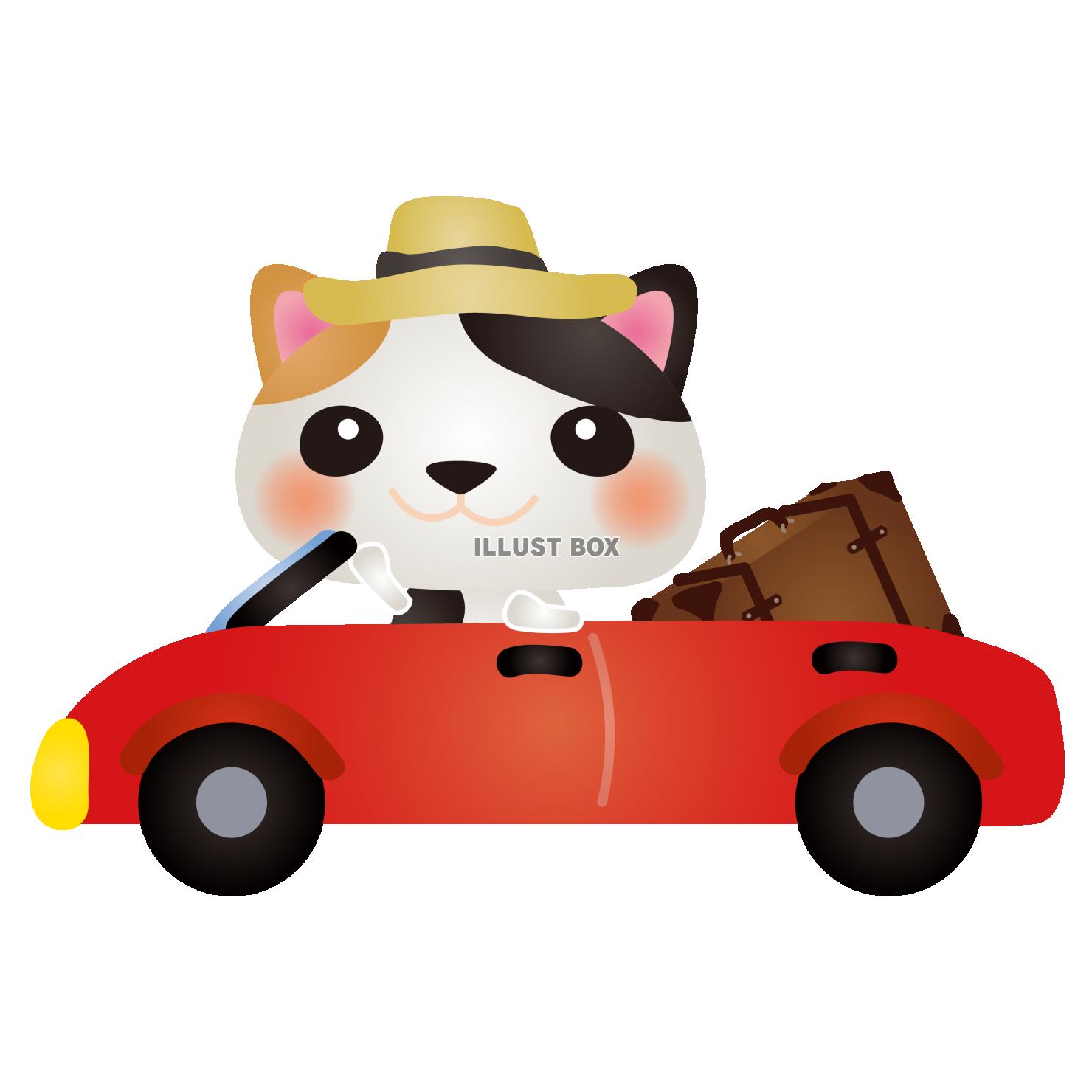 みけドライブ旅行