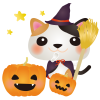 みけ魔法使い