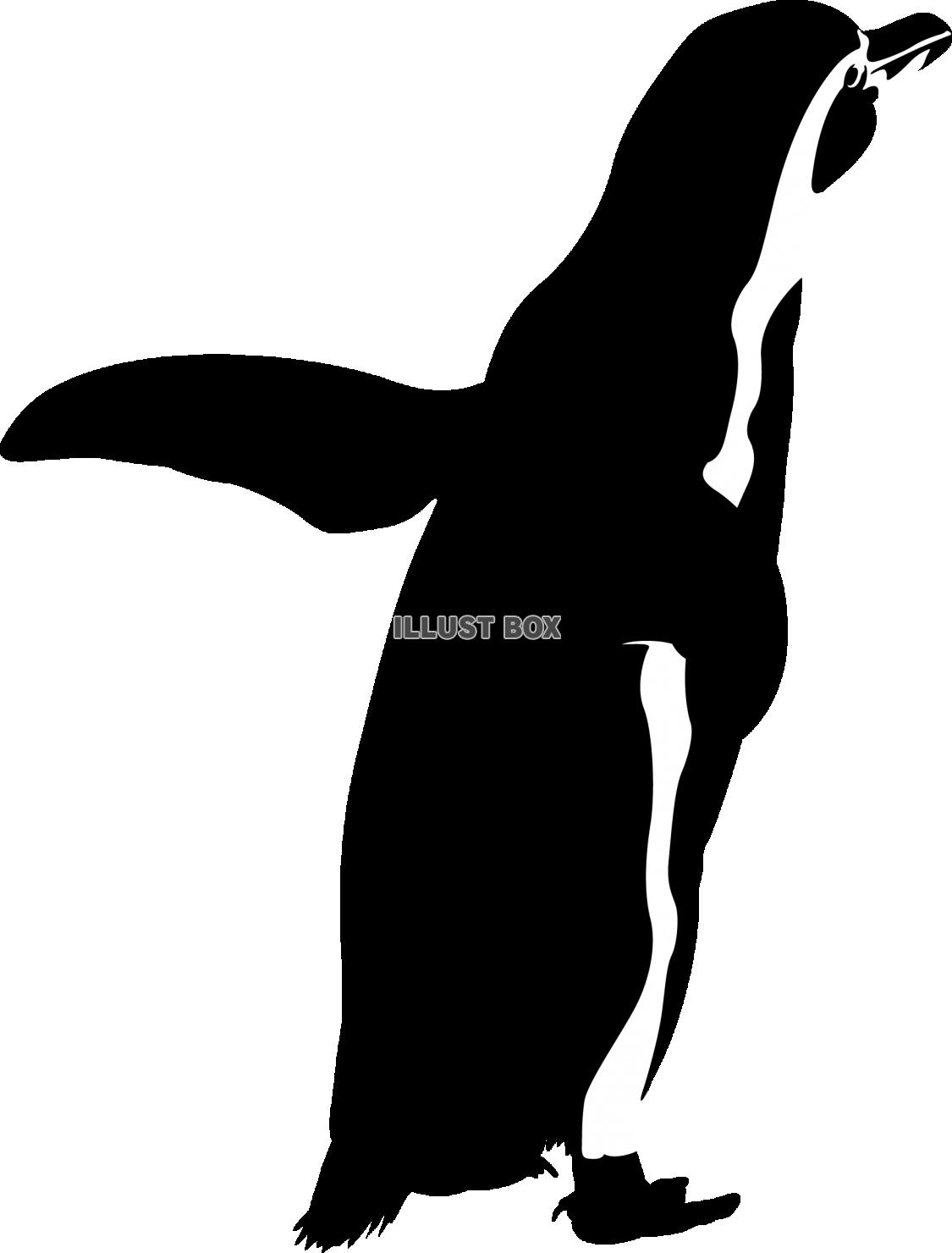 海の生き物 白黒 シルエット イラストが無料 イラストボックス