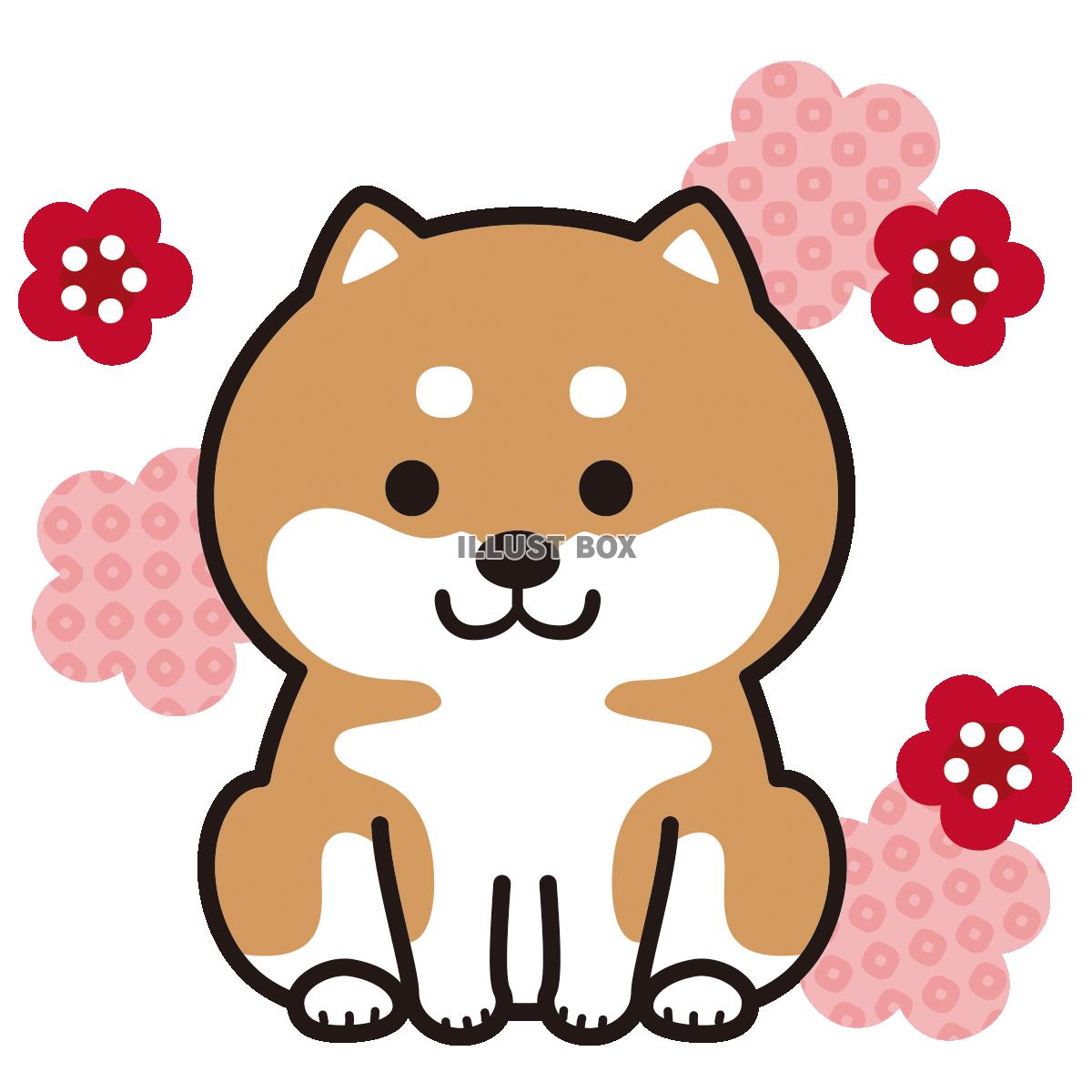 無料イラスト 柴犬と梅模様