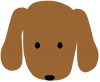 犬の顔
