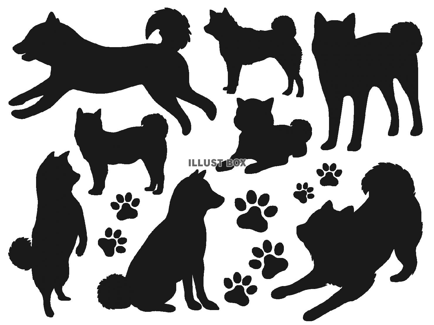 柴犬 イラスト無料