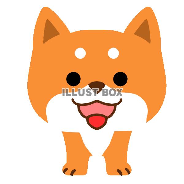 柴犬舌出しイラスト　透過png