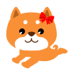 リボンを付けた柴犬　透過png