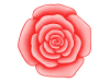 バラの花のワンポイントイラスト背景素材。透過PNG