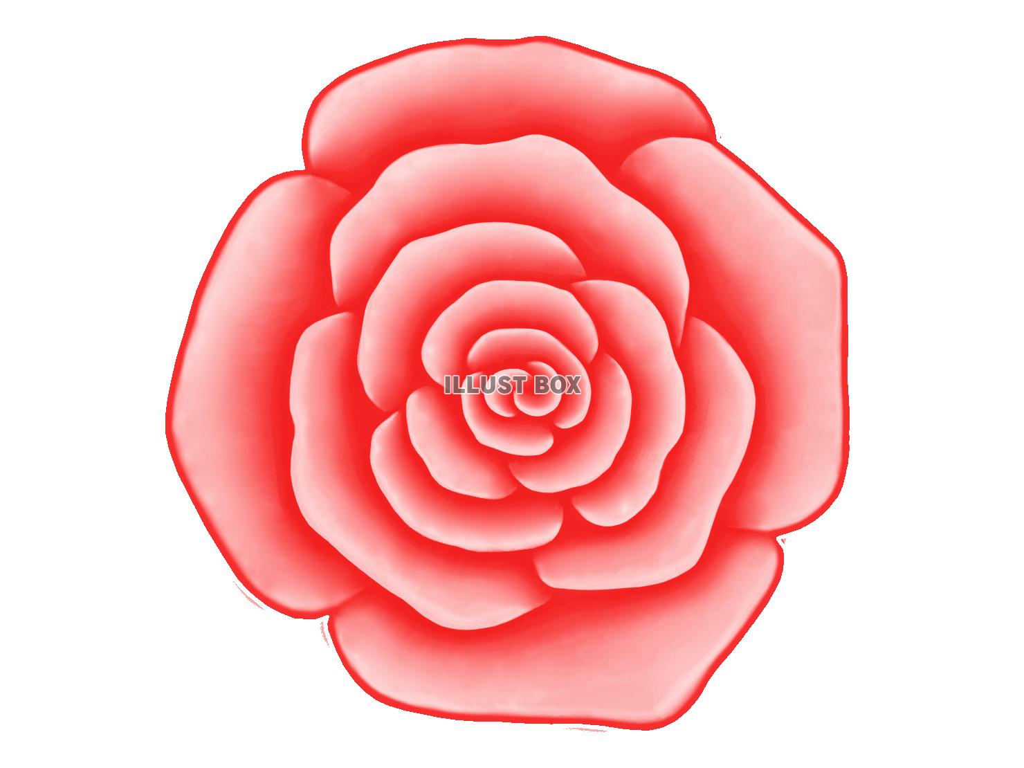 無料イラスト バラの花のワンポイントイラスト背景素材 透過png