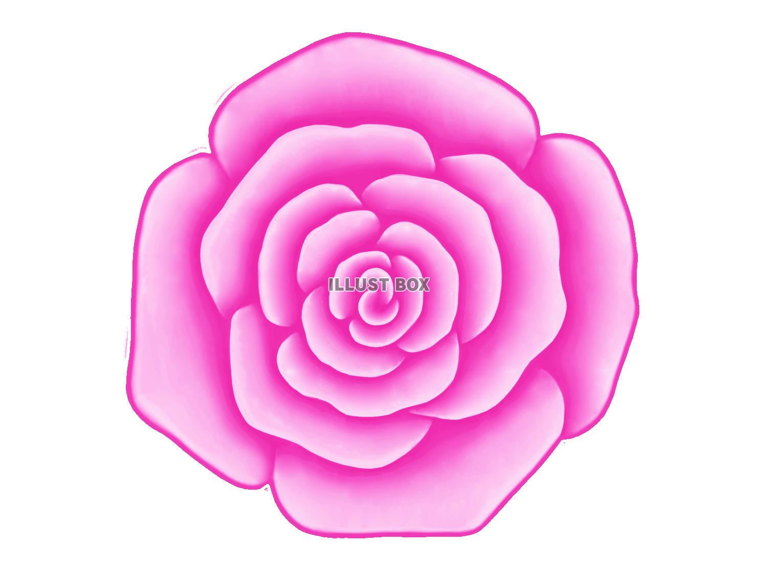 バラの花のワンポイントイラスト背景素材。透過PNG