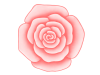 バラの花のワンポイントイラスト背景素材。透過PNG