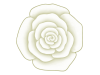 バラの花のワンポイントイラスト背景素材。透過PNG