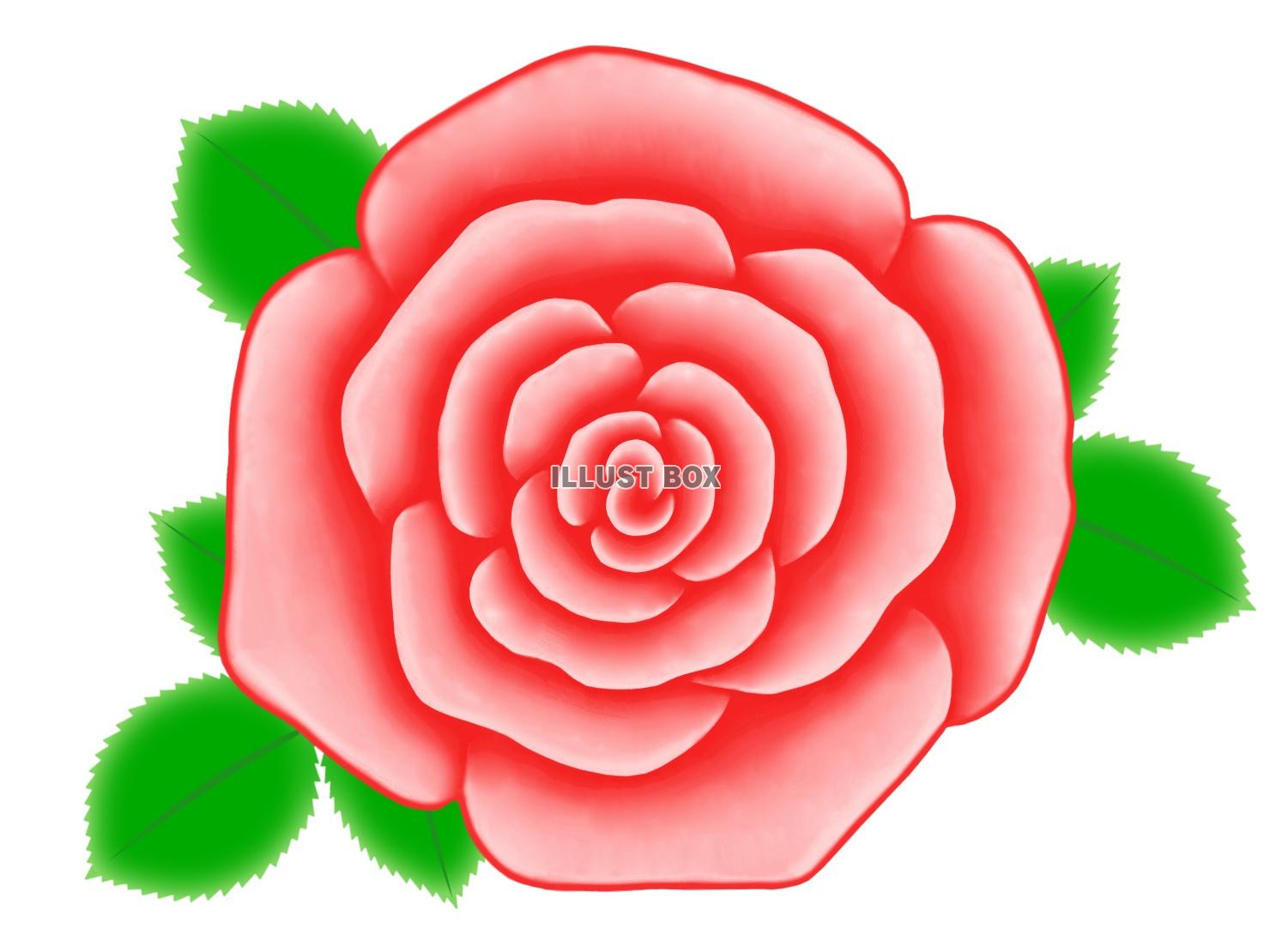 無料イラスト バラの花のワンポイントイラスト背景素材