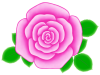 バラの花のワンポイントイラスト背景素材。透過PNG