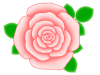 バラの花のワンポイントイラスト背景素材。透過PNG