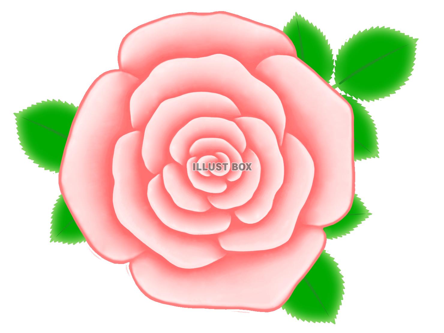 無料イラスト バラの花のワンポイントイラスト背景素材 透過png