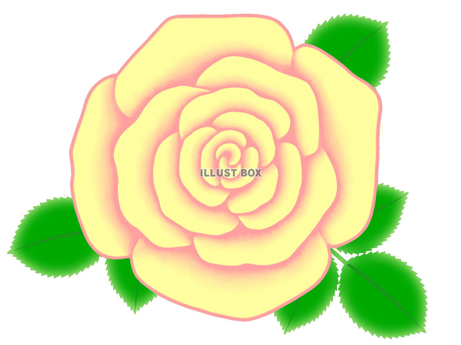 バラの花のワンポイントイラスト背景素材。透過PNG