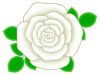 バラの花のワンポイントイラスト背景素材。透過PNG