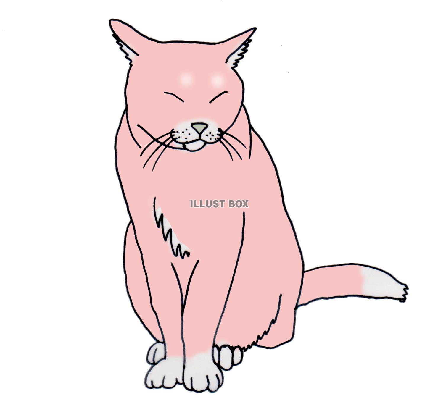 ピンクのネコ　イカ耳