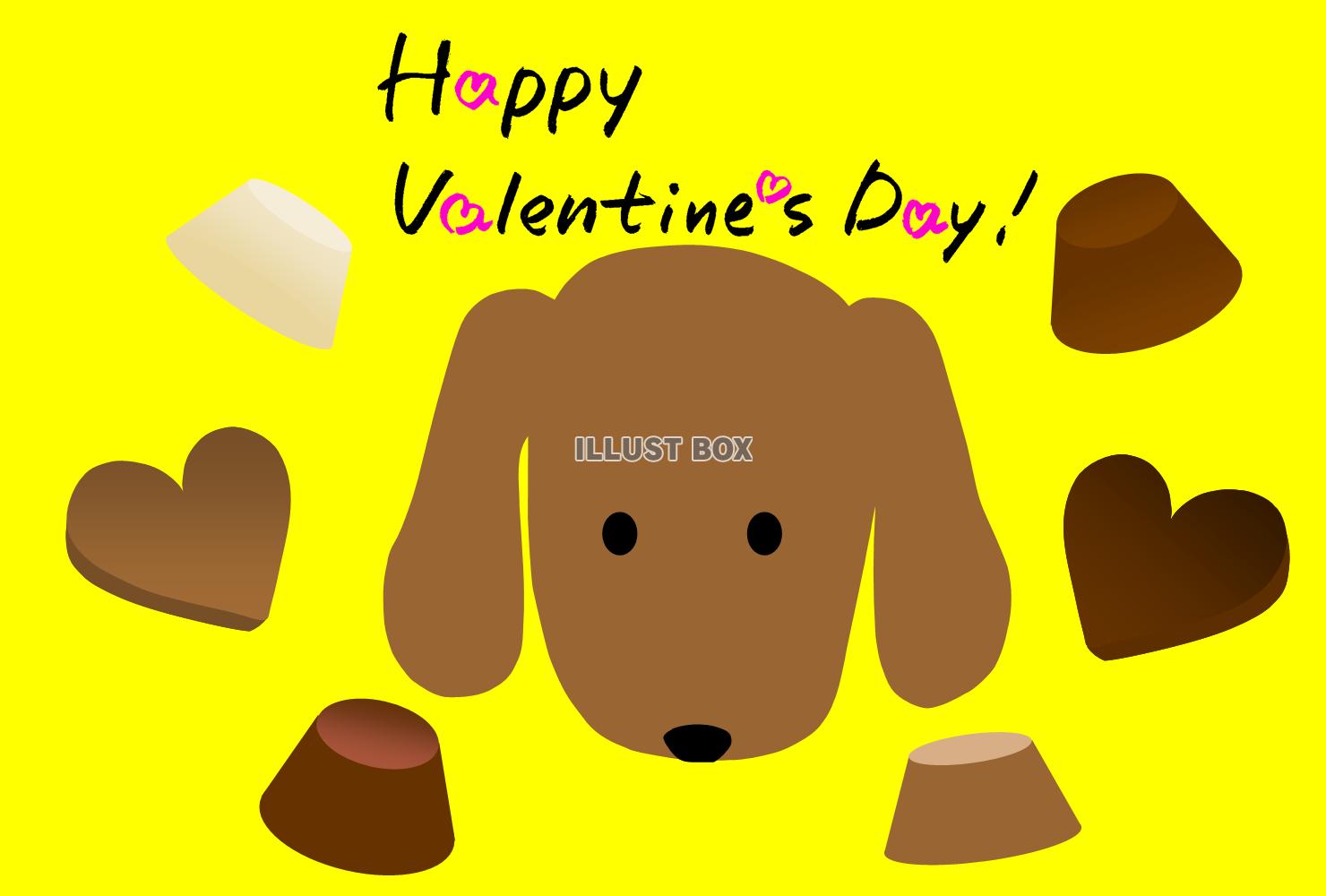 戌年　バレンタインメッセージ（犬とチョコレート）２