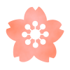 桜のイラスト　透過png