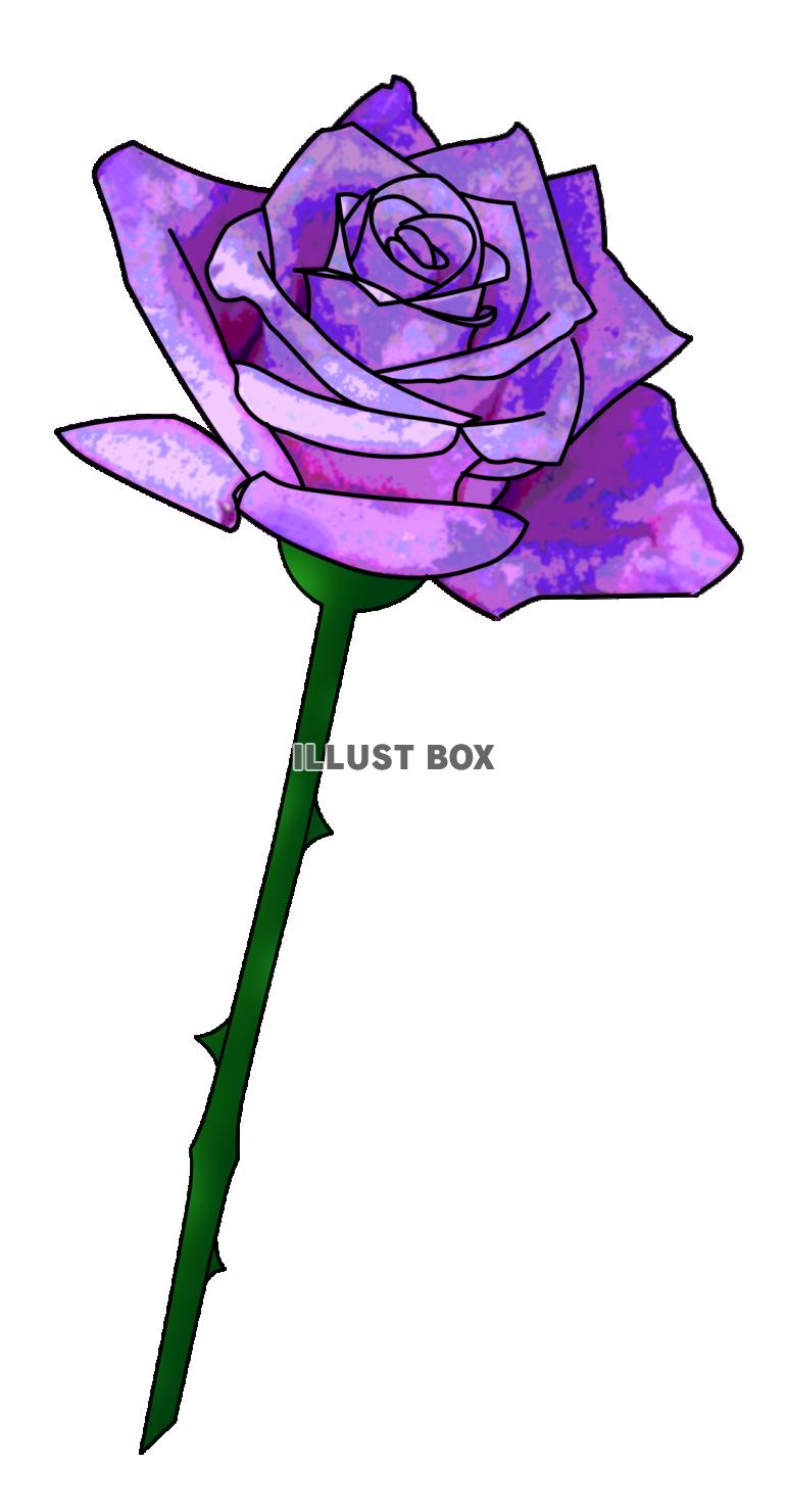 イラスト バラ カリグラフィーペンでバラを描くには？お花イラストの描き方を3種類ご紹介
