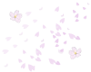 桜吹雪