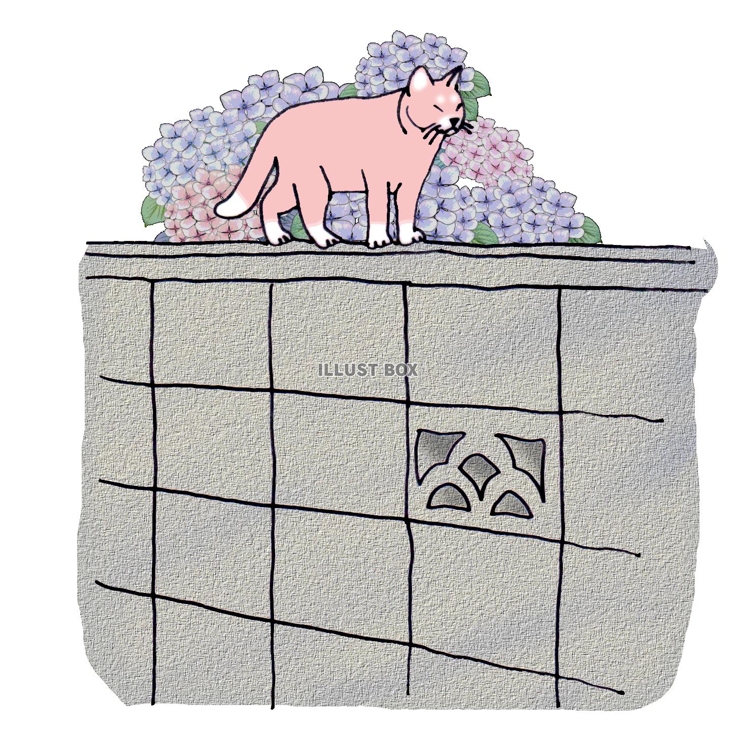 無料イラスト ピンクのネコ 塀と紫陽花と猫