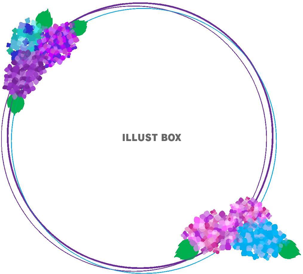 無料イラスト 紫陽花の円フレーム 梅雨