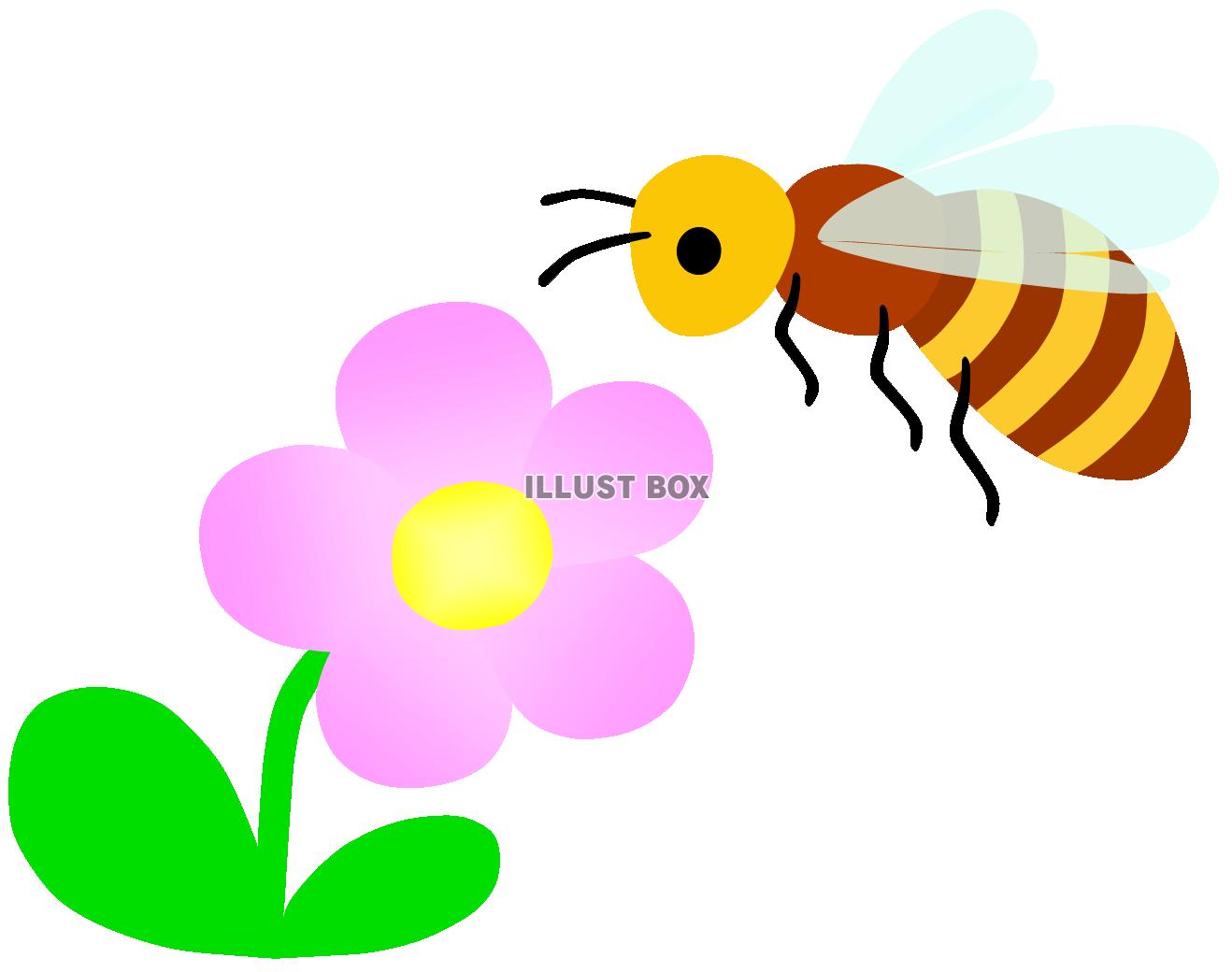 無料イラスト みつばちとピンクのお花１ ミツバチ 蜂 昆虫