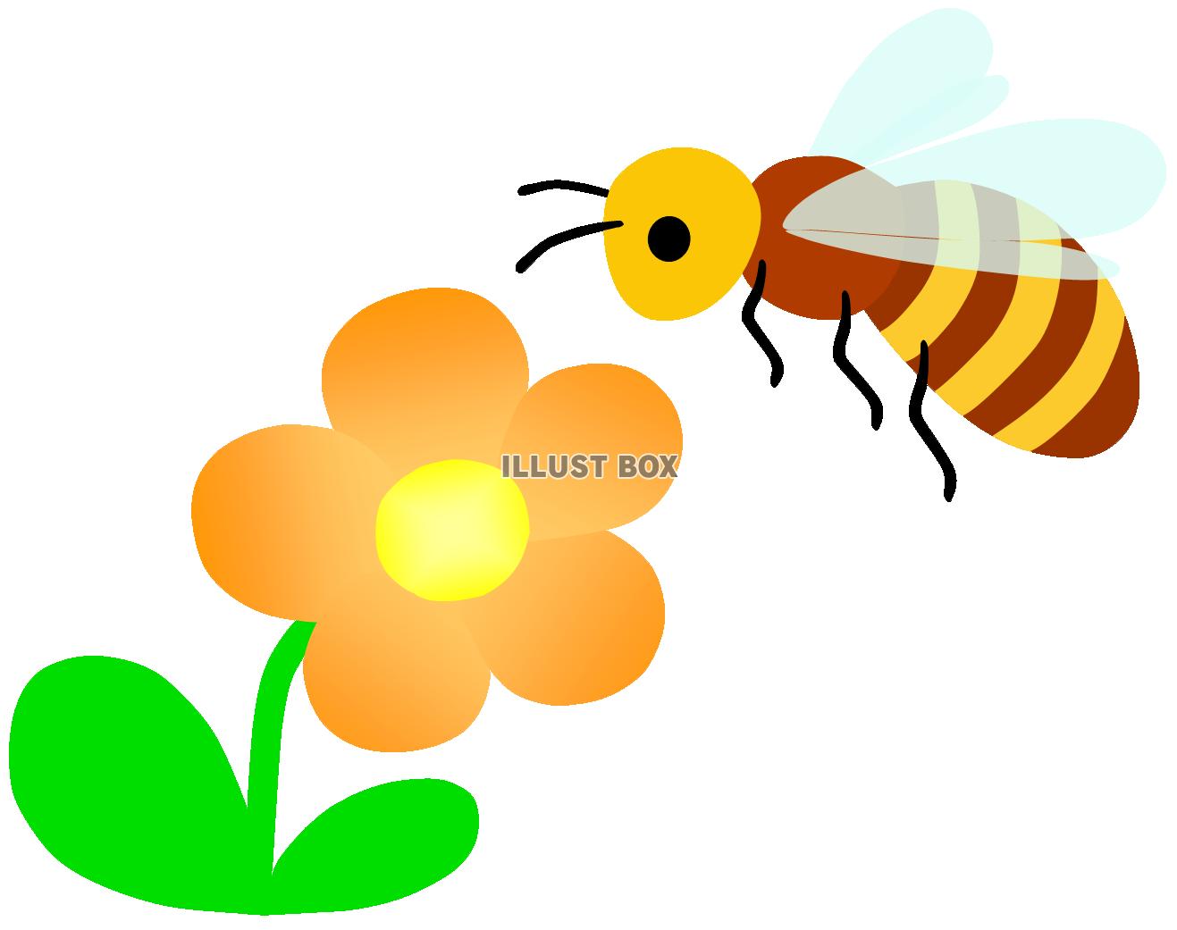 無料イラスト みつばちとオレンジ色のお花１ ミツバチ 蜂 昆虫