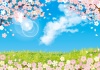 桜  春  三月  四月  空  背景  満開  青空  散る  花  お花見 