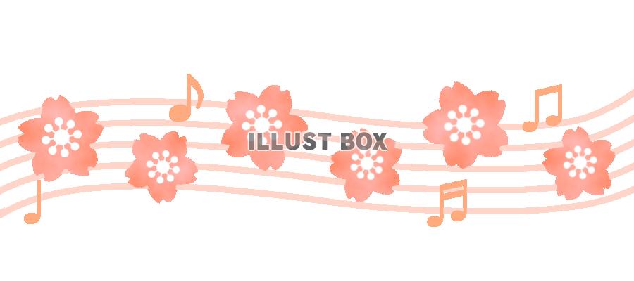 無料イラスト 桜の音符ライン 透過png