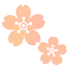 ふんわりした色の桜　透過png