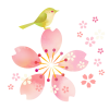 うぐいすのいる桜　透過ＰＮＧ