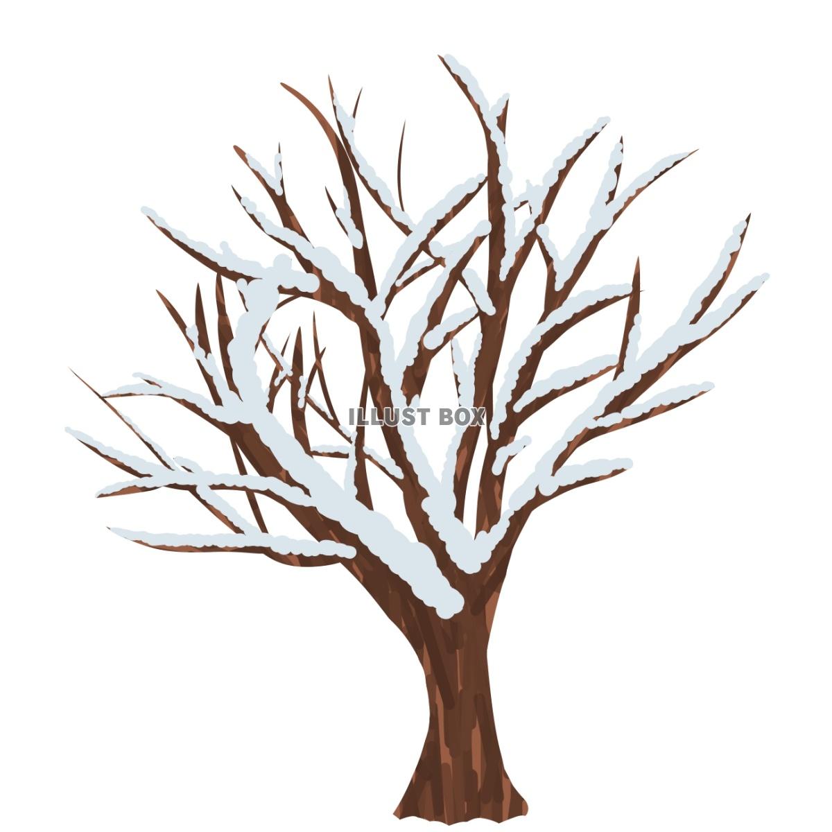 無料イラスト 冬の木2