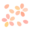 ふんわり色の桜　透過png