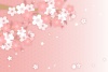 桜の背景
