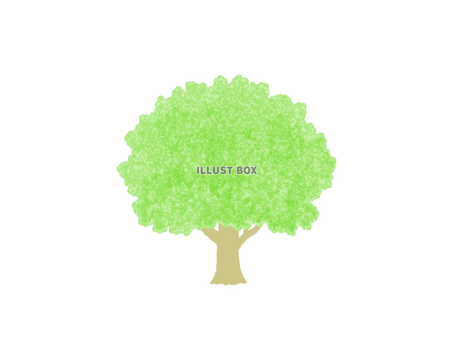無料イラスト 大木の風景イラスト シンプルな背景素材