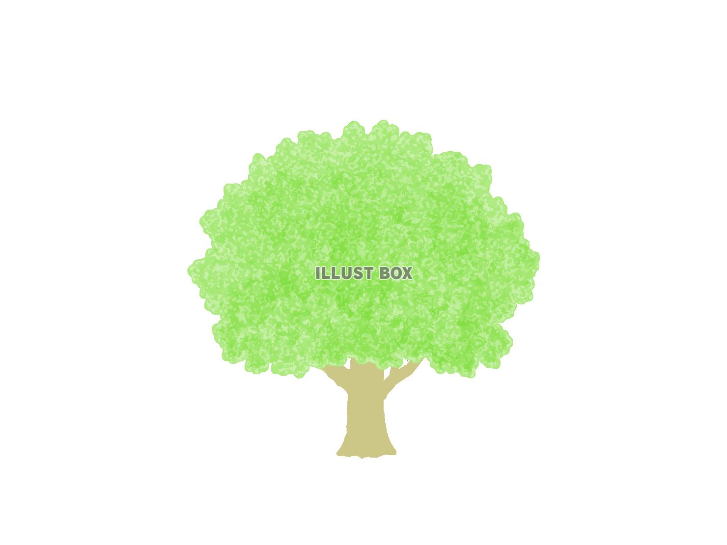 無料イラスト 大木の風景イラスト シンプルな背景素材 透過png