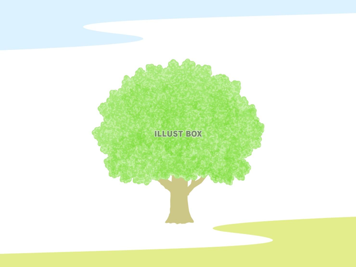 無料イラスト 大木の風景イラスト シンプルな背景素材