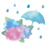 水彩風の紫陽花と傘
