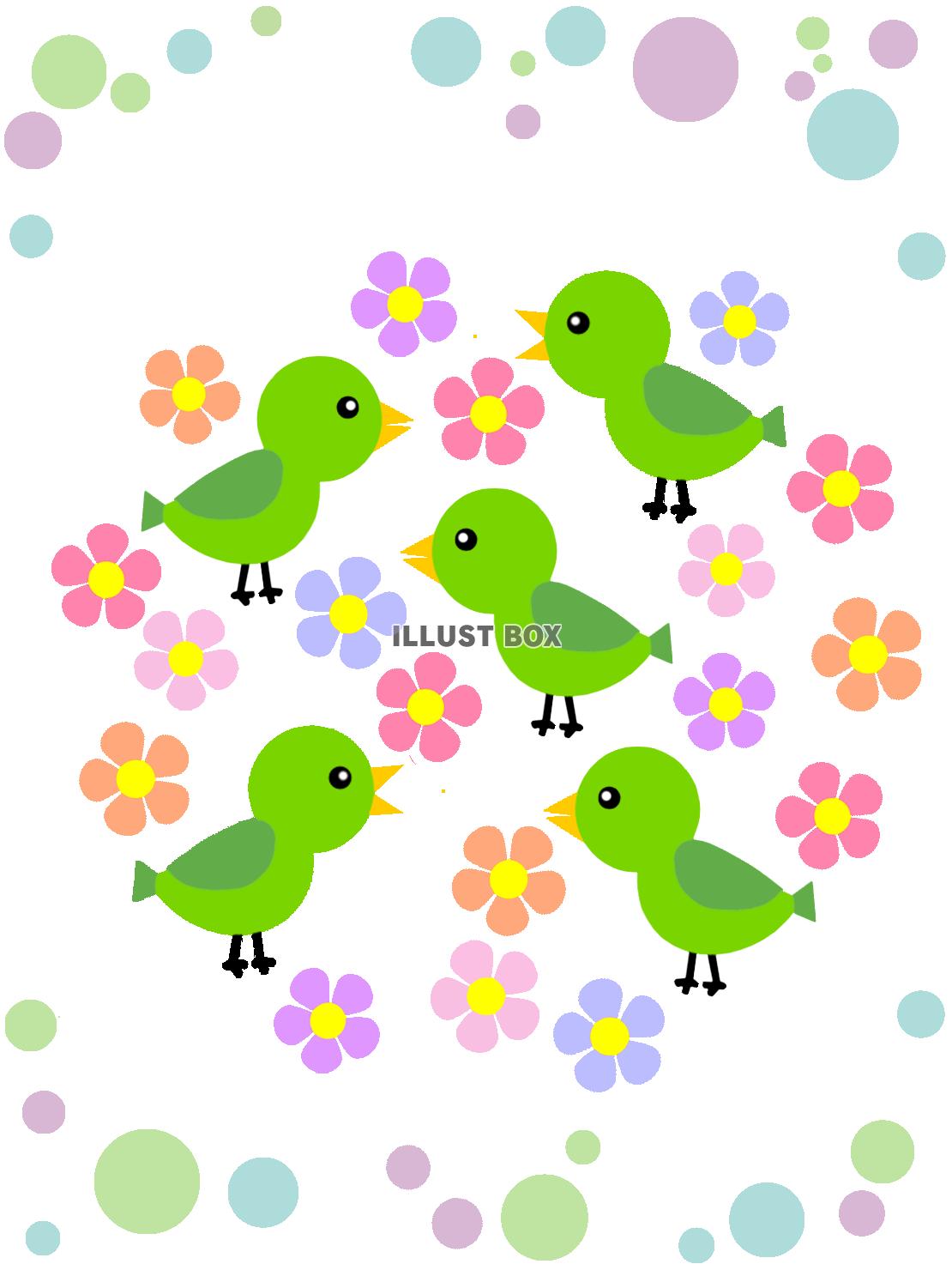 小鳥と花模様の背景イラスト可愛い壁紙素材。透過PNG