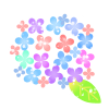 きらめく紫陽花イラスト　透過png