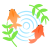 金魚イラスト　透過png