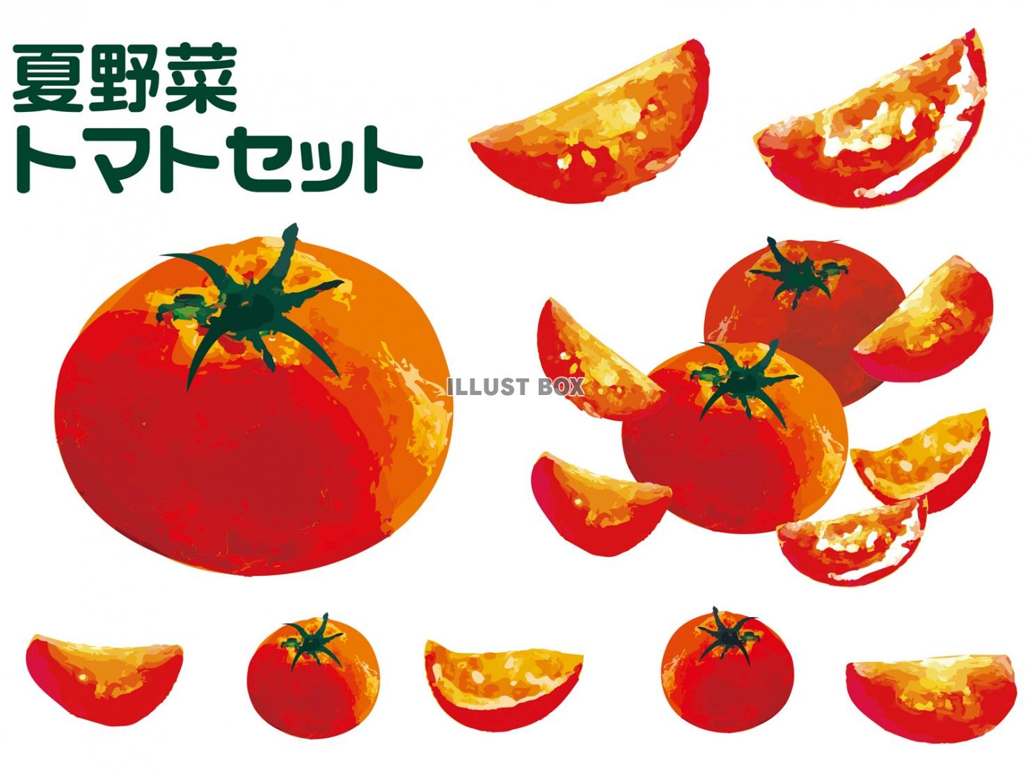 無料イラスト トマト 野菜 手書き イラスト シンプル 水彩 ミニトマト