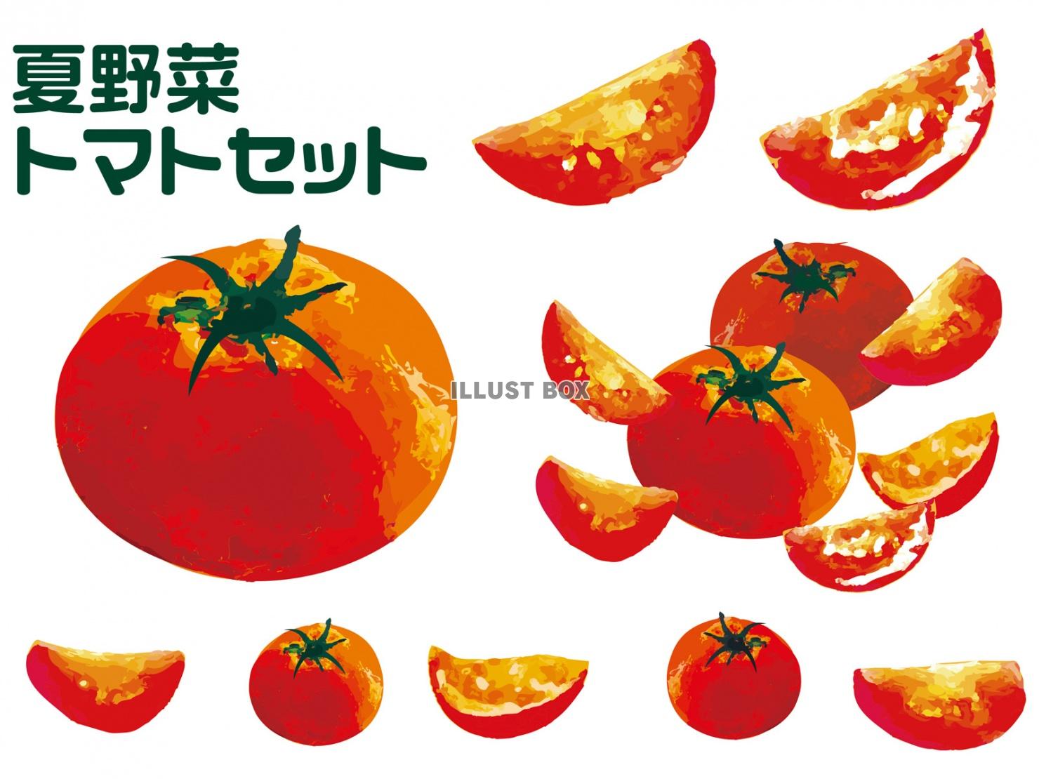 夏野菜 イラスト無料