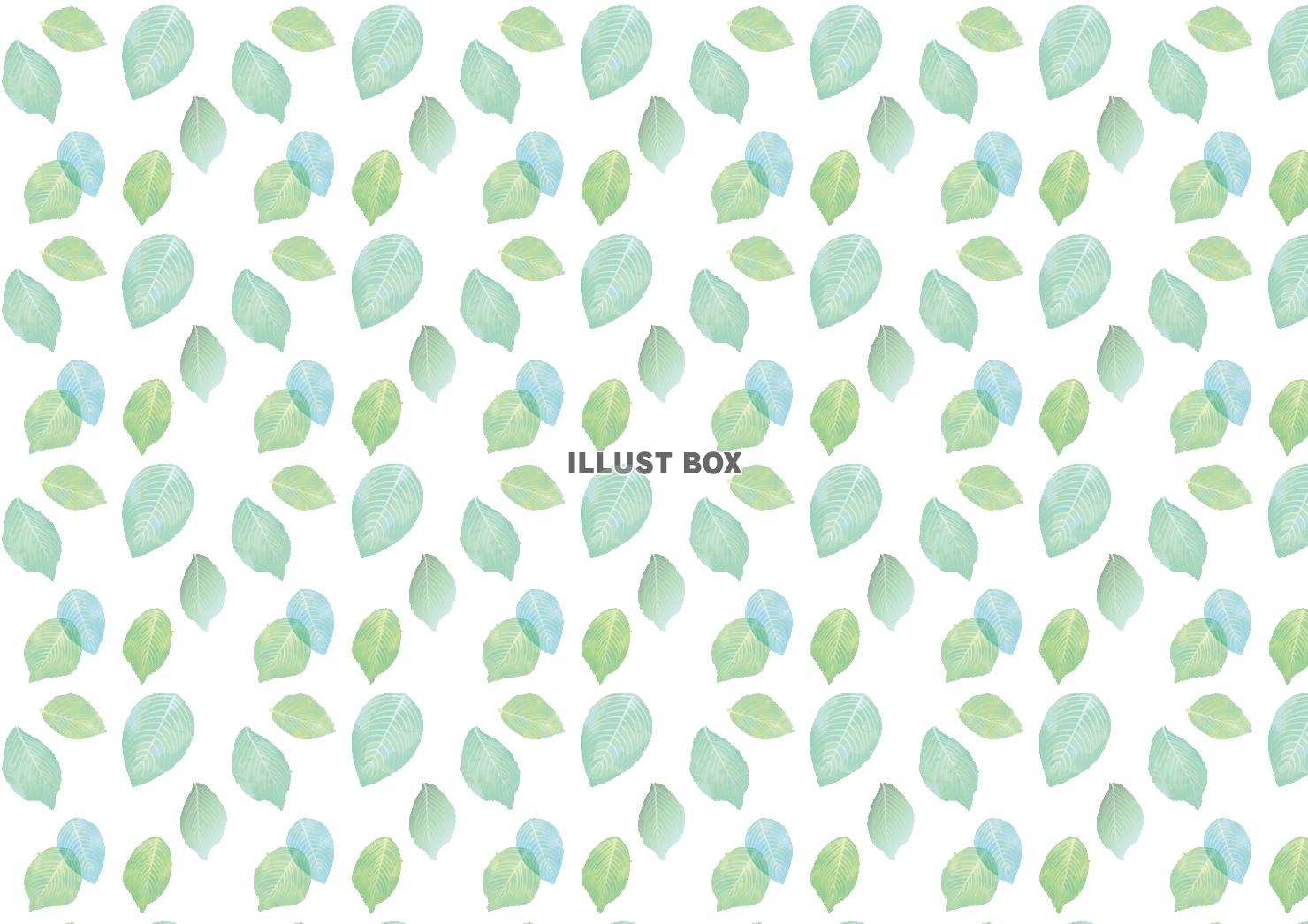 無料イラスト パターン 葉 スウォッチ 葉っぱ 緑 背景 壁紙 植物 水彩