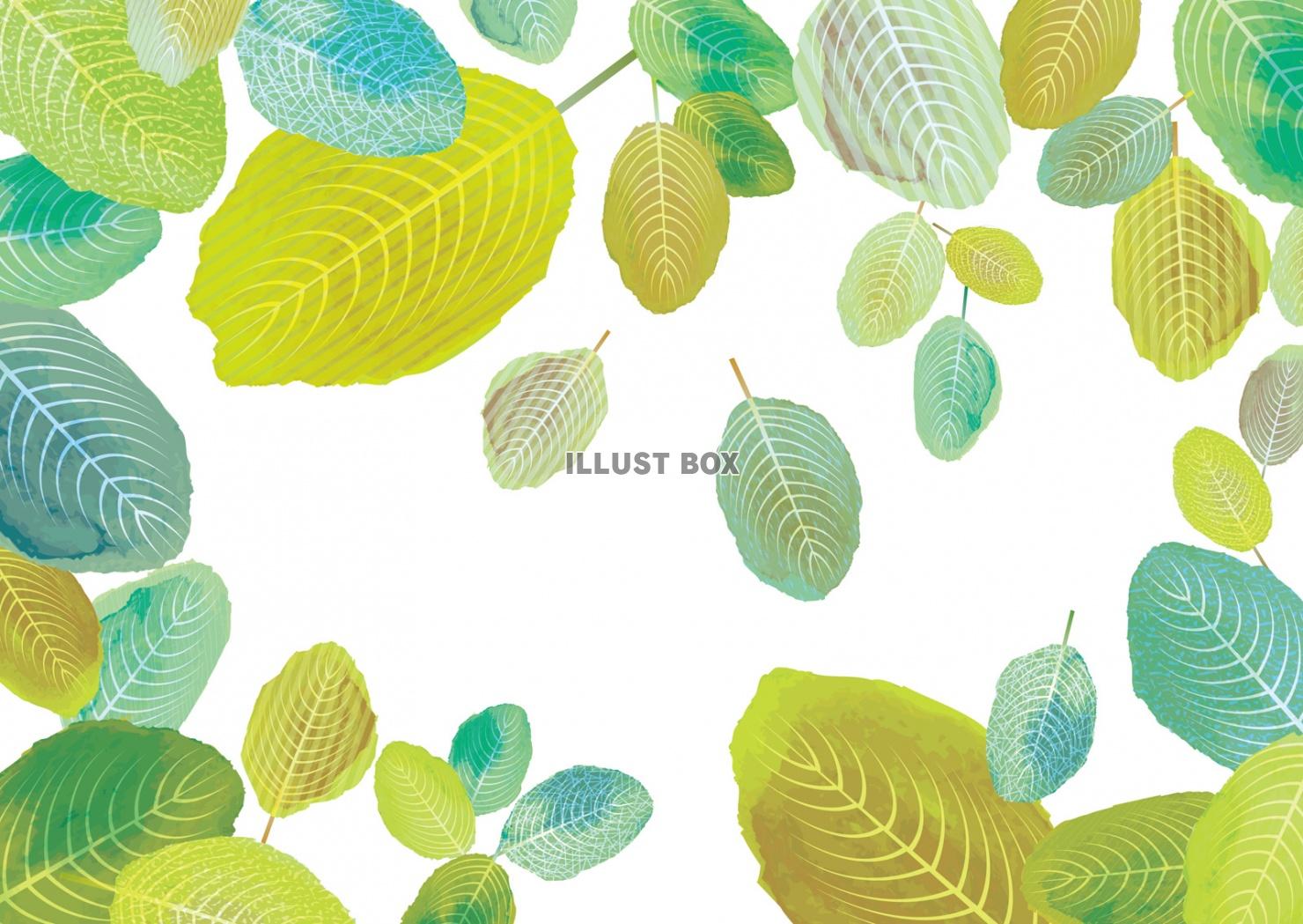 無料イラスト 背景 フレーム 葉 新緑 水彩 植物 夏 初夏 枠 飾り枠