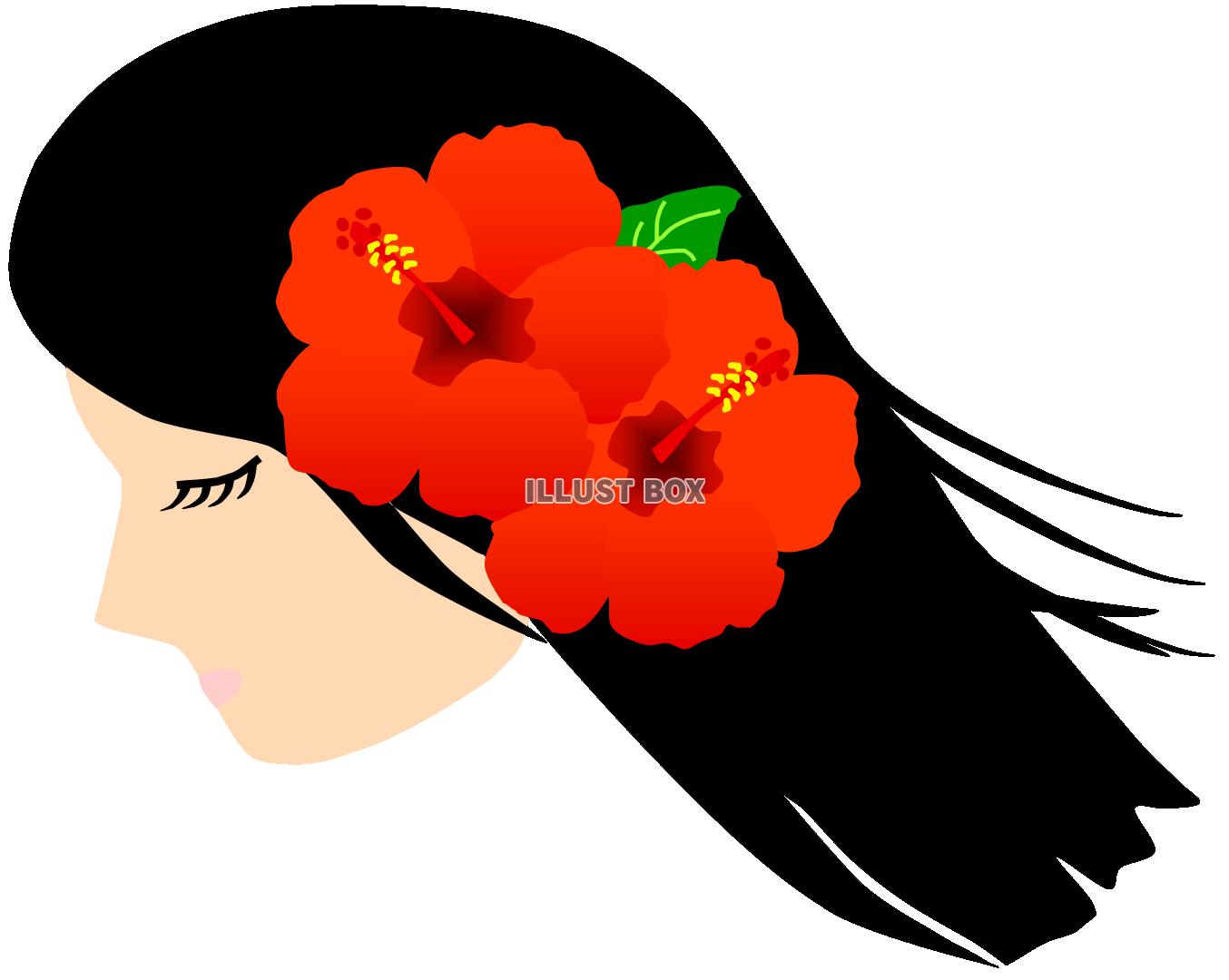無料イラスト ハイビスカスの髪飾り 夏 南国 トロピカル 女性