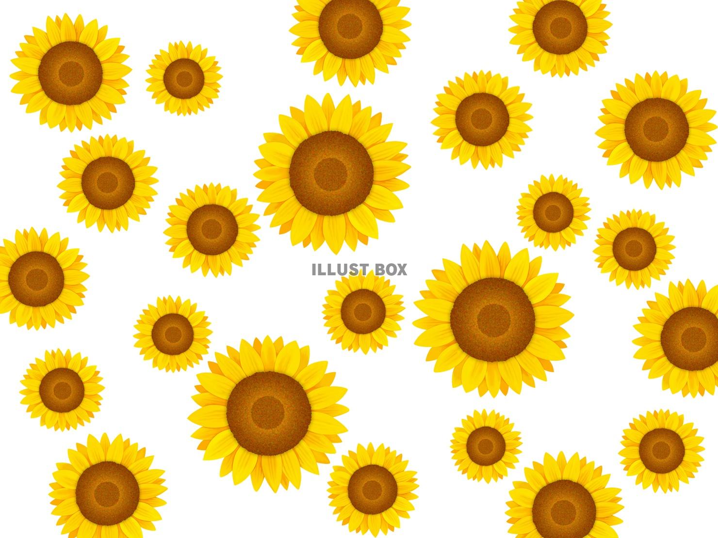 無料イラスト ひまわりの壁紙、向日葵の背景素材イラスト